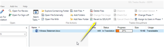 Trados Studio interface with a file marked as '411  Translated', indicating the file status and progress.