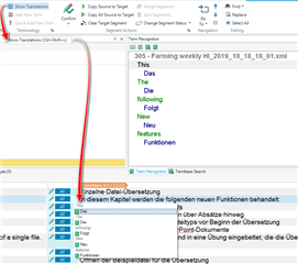 Screenshot of Trados Studio interface showing the Home ribbon with Termbase Search highlighted and a list of terms displayed.
