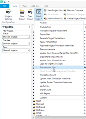 Trados Studio menu with Batch Tasks expanded, highlighting options such as Pre-translate Files and Auto-propagate Confirmations.