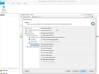 Trados Studio Project Settings window with Batch Processing options such as Pre-translate Files and Generate Target Translations.
