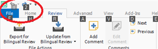 Screenshot highlighting the 'File' tab in Trados Studio's ribbon interface with a red circle, suggesting a possible area to investigate for the non-functioning CTRL+Z issue.
