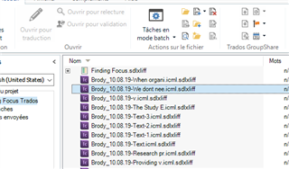 Screenshot of Trados Studio interface showing a list of files with names like 'Brody_10.08.19' followed by various descriptions and the file extension '.sdlxliff'. A warning icon is visible next to each file indicating an issue with opening them.