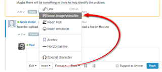 Screenshot of a Trados Studio forum post by Jackie Doble asking how to upload a file, with a response suggesting to use the 'Insert imagevideofile' option.