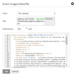 File upload dialog box with 'sdlerror-20191220-19h36m38s.sdlerror.xml' file selected for upload.