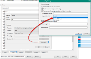 Trados Studio advanced rule settings window with a red arrow pointing to the 'Segmentation hint' option.