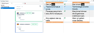 Screenshot of Trados Studio indicating an issue with term recognition for specific languages, with no terms being recognized.