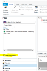 Trados Studio screenshot displaying the Files view with English selected as the source language and the 'Include subfolders' option unticked.