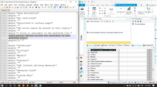 Screenshot of Trados Studio with Notepad++ on the left showing 'msgid_plural' text and SDL Trados Studio on the right displaying segments 384 and 385 without 'msgid_plural' text.