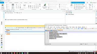 Trados Studio interface showing an open source file with text strings 'msgid 12', 'msgid_plural Hi Amit', and 'msgid Filename' without corresponding translations in the 'msgstr' fields.