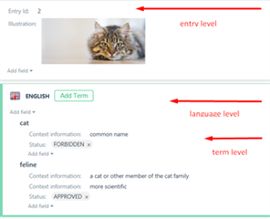 Screenshot of a Trados Studio termbase entry showing a cat image at entry level, with terms 'cat' and 'feline' at language level, including status and context information.