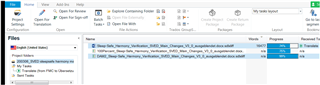 Trados Studio 2019 interface showing two large files in the project files list, one file is 95% complete and the other is 85% complete.