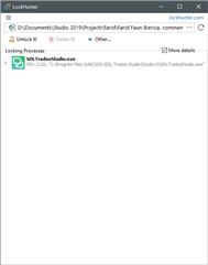 LockHunter window showing the file 'Farid Faun Iberica, comments rev 00.docx' is locked by a process with the path 'C:Program Files (x86)SDLSDL Trados StudioStudio5Sdl.ProjectApi.dll'.