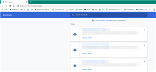 Browser downloads page with multiple files listed, each with options to 'Show in folder' or 'Remove from list'.