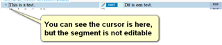 Screenshot showing a message in Trados Studio indicating that the cursor is present but the segment is not editable.