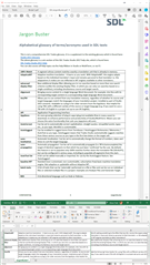 Portrait screen displaying a reference document in SDL Trados Studio, with the software's interface visible at the bottom.