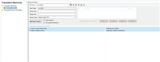 Translation Memory view in Trados Studio with a single entry for 'This is some other text' translated as 'Esto es otro texto' and 'belebt unsere Sinne' not present.