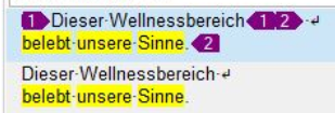 Screenshot of Trados Studio concordance search results showing two matches for the German phrase 'belebt unsere Sinne'. The first match includes additional tags, and the second match is an exact match.