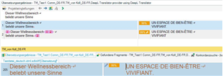 Trados Studio Editor view highlighting the search result for 'belebt unsere Sinne' with corresponding translation.