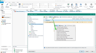 Trados Studio Project Settings window with a warning message about missing file type definitions.