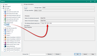 Trados Studio 2021 Options window showing File Types section with a red arrow pointing to 'SDLXLIFF' file type details.