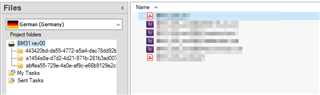 Trados Studio screenshot showing the Files panel with German (Germany) project folders. Contains four icml files with warning icons and two pdf reference files.
