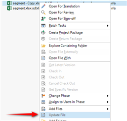 Context menu in Trados Studio with 'Update File' option highlighted by a red arrow.