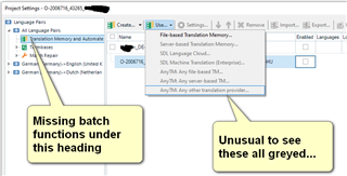 Screenshot of Trados Studio Project Settings showing missing batch functions under a heading and all options greyed out indicating an unusual error.