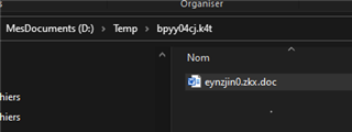 Windows file explorer showing the Temp folder with a single file named 'eynzjin0.zkx.doc' indicating the recreated temporary file.