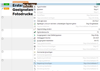 Trados Studio screenshot showing the 'Erste Schritte' menu with options such as 'Ausgewaehlt', 'Kopieren', and 'Einfuegen'. Text is highlighted for selection.