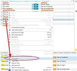 Screenshot of Trados Studio with a right-click context menu open, highlighting the 'Source' filter option.