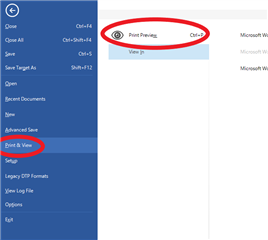 Trados Studio menu with 'Print & View' option highlighted and 'Print Preview' option circled, indicating the shortcut Ctrl+P.