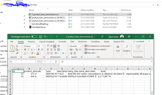 Screenshot of Trados Studio source file in a folder with multiple files, highlighted to show selection.