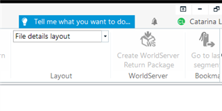 Trados Studio screenshot showing an inactive 'Create WorldServer Return Package' button in the toolbar.