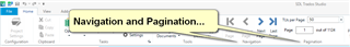 Screenshot of Trados Studio showing the TM Maintenance View with a tooltip for Navigation and Pagination options.