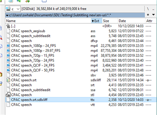 File explorer window with a list of files related to 'CPAC_speech', showing various file types like .mp4, .srt, .sdlxliff, and their sizes and modification dates.