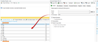 Trados Studio Advanced Display Filter window with a red arrow pointing to the filter options, suggesting the use of filters to lock content controls.