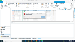 Trados Studio error message 'An error has occurred whilst trying to determine the file version' with a red cross icon, indicating a problem opening a file.