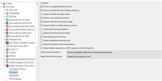 Trados Studio settings window showing options for file types, with 'Process unsupported file versions' checked.