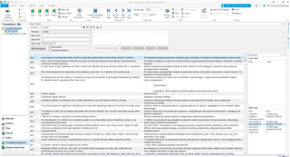 Screenshot of Trados Studio interface displaying a translation memory without DSI information, indicating no custom data in the segments.