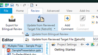 Trados Studio screenshot showing the Review tab with options for 'Update from Reviewed Target File' and 'Update from Bilingual Review'.