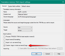 Trados Studio Translation memory TMX import settings window with an arrow pointing to 'Custom tags' option selected.
