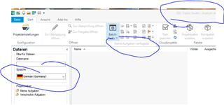 Trados Studio screenshot showing the project directory with a file not displayed in the editor. Circled areas highlight the missing file in the editor, the file present in the project directory, and the language setting 'German (Germany)'.