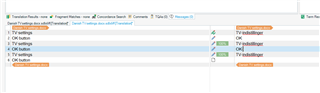 Trados Studio interface displaying the translation memory view with segments containing 'TV' and 'OK' not flagged as errors, indicating successful exception handling.