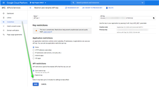 Google Cloud Platform API & Services page showing API key restrictions with a warning message to configure the app.