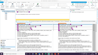 Screenshot of Trados Studio interface showing a single large segment with non-translatable text in an xliff file from Wordpress.
