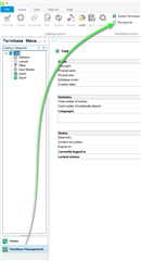 Screenshot of Trados Studio with the Termbase Management window open, showing the 'Reorganise' option being selected from the Termbase menu.