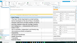 Screenshot of Trados Studio interface showing a document being translated with no visible errors or warnings.