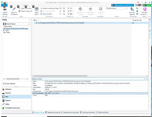Trados Studio screenshot showing the Files view with a selected .txlf file. The File Type column displays 'SDLXLIFF 1.0v'. No visible errors or warnings.