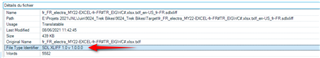 Screenshot showing Trados Studio file details with an arrow pointing to the 'File Type Identifier' field displaying 'SDLXLIFF 1.2.2.0'