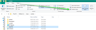 File Explorer window with the View tab selected, showing the Hidden Items checkbox ticked to reveal hidden files and folders, including the AppData folder.